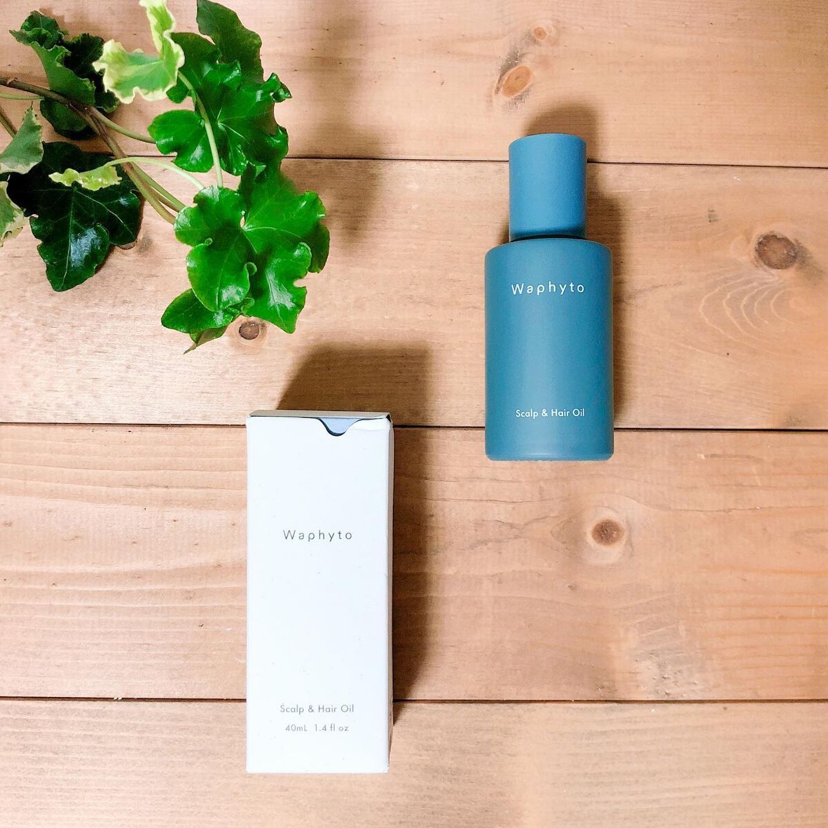 スキャルプ&ヘアオイル/Waphyto/ヘアオイルを使ったクチコミ(1枚目)