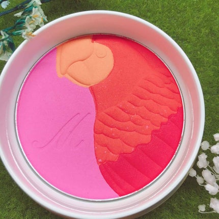 レ・メルヴェイユーズ ラデュレ ミックスドチークカラーのクチコミ「
レ・メルヴェイユーズ ラデュレ
ミックスド チークカラー 101
こちらは2019サマ.....」(2枚目)