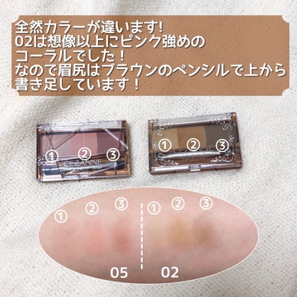 ノーズ&アイブロウパウダー/CEZANNE/パウダーアイブロウを使ったクチコミ(2枚目)