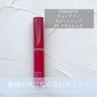 ウォータリーティントリップ/CEZANNE/口紅を使ったクチコミ（1枚目）