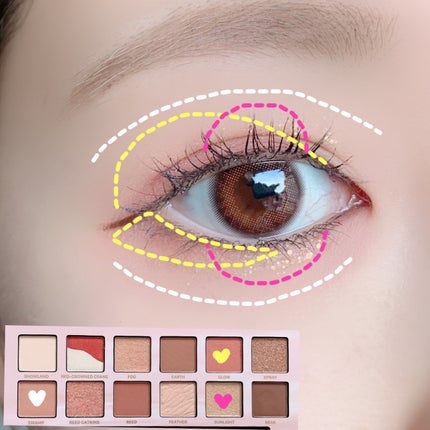 エクスプローラ12色 動物アイシャドウパレット/PERFECT DIARY/アイシャドウパレットを使ったクチコミ(3枚目)