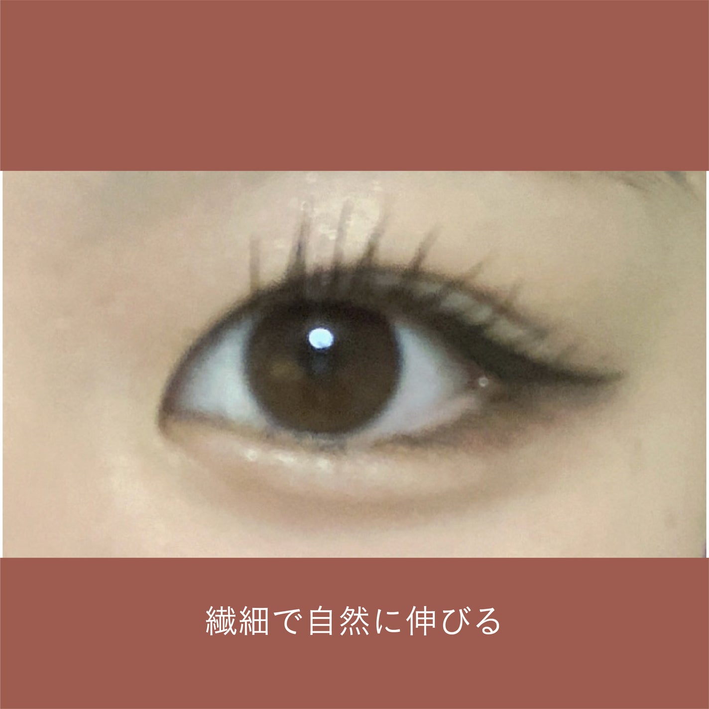 ウォンジョンヨ ヌードアイラッシュ/Wonjungyo/マスカラを使ったクチコミ(3枚目)