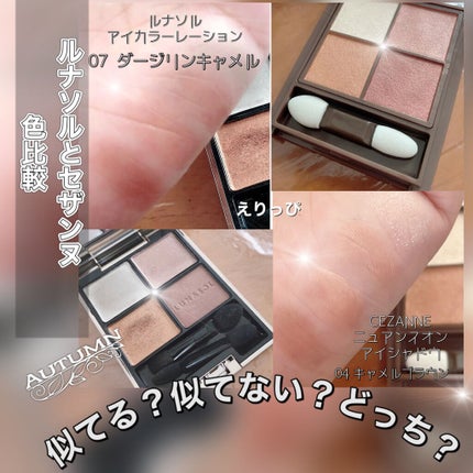 ニュアンスオンアイシャドウ/CEZANNE/アイシャドウパレットを使ったクチコミ(2枚目)