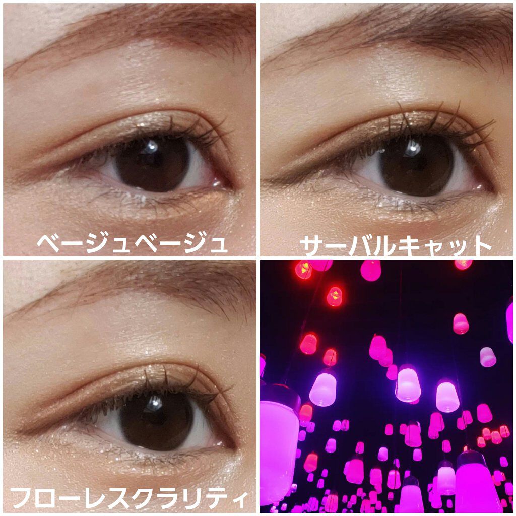 アイカラーレーション/LUNASOL/アイシャドウパレットを使ったクチコミ（1枚目）