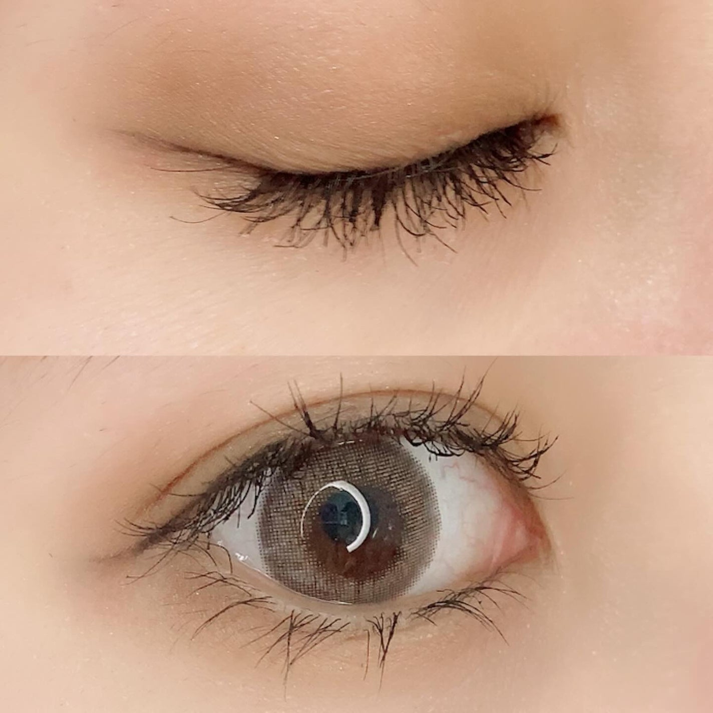 エレガンス アルモニーアイズ/Elégance/アイシャドウパレットを使ったクチコミ(2枚目)