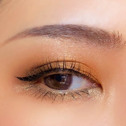 コネクト イン カラー アイシャドウ パレット × 6/M・A・C/アイシャドウパレットを使ったクチコミ(6枚目)