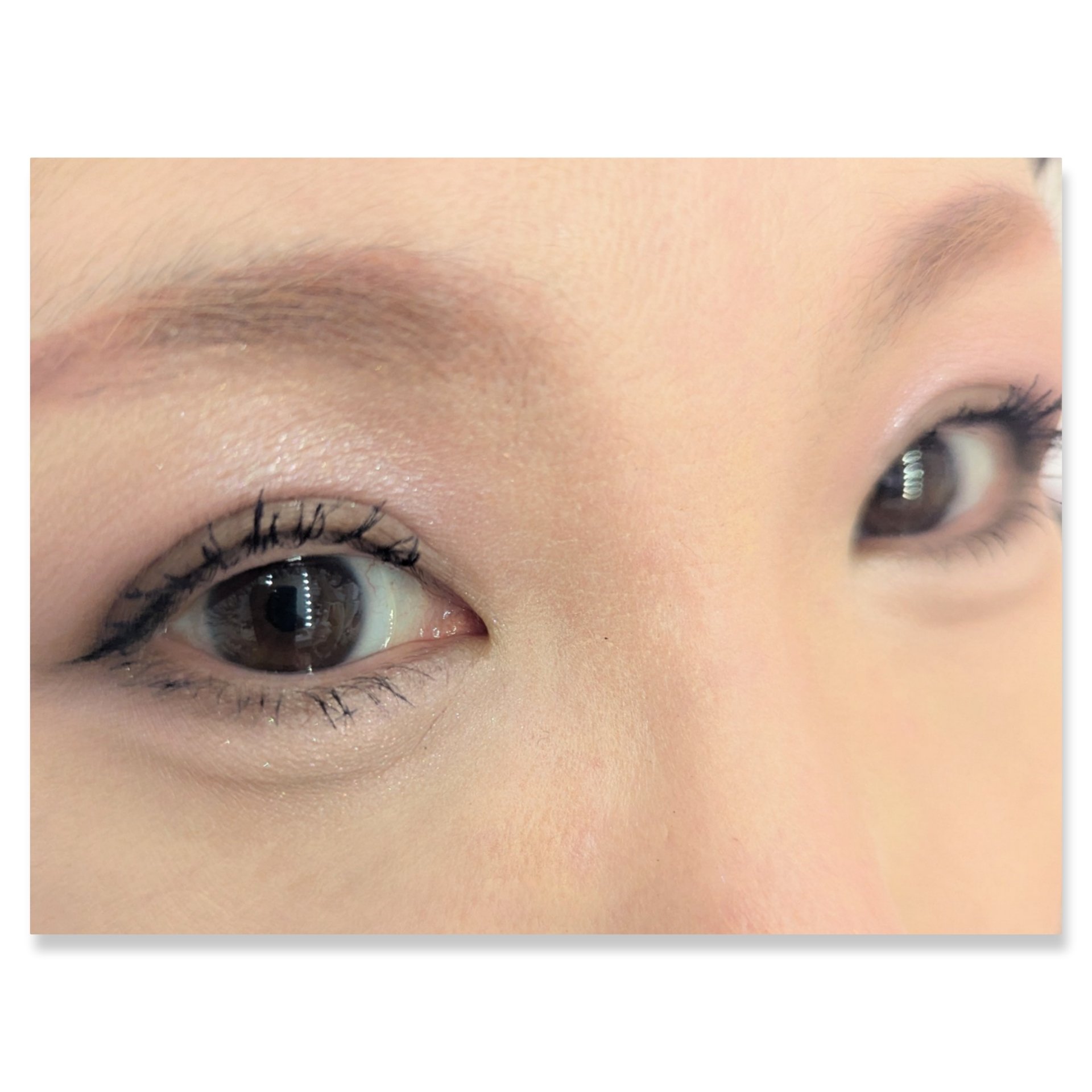 ソフトブラーリングアイパレット/wakemake/アイシャドウパレットを使ったクチコミ（2枚目）