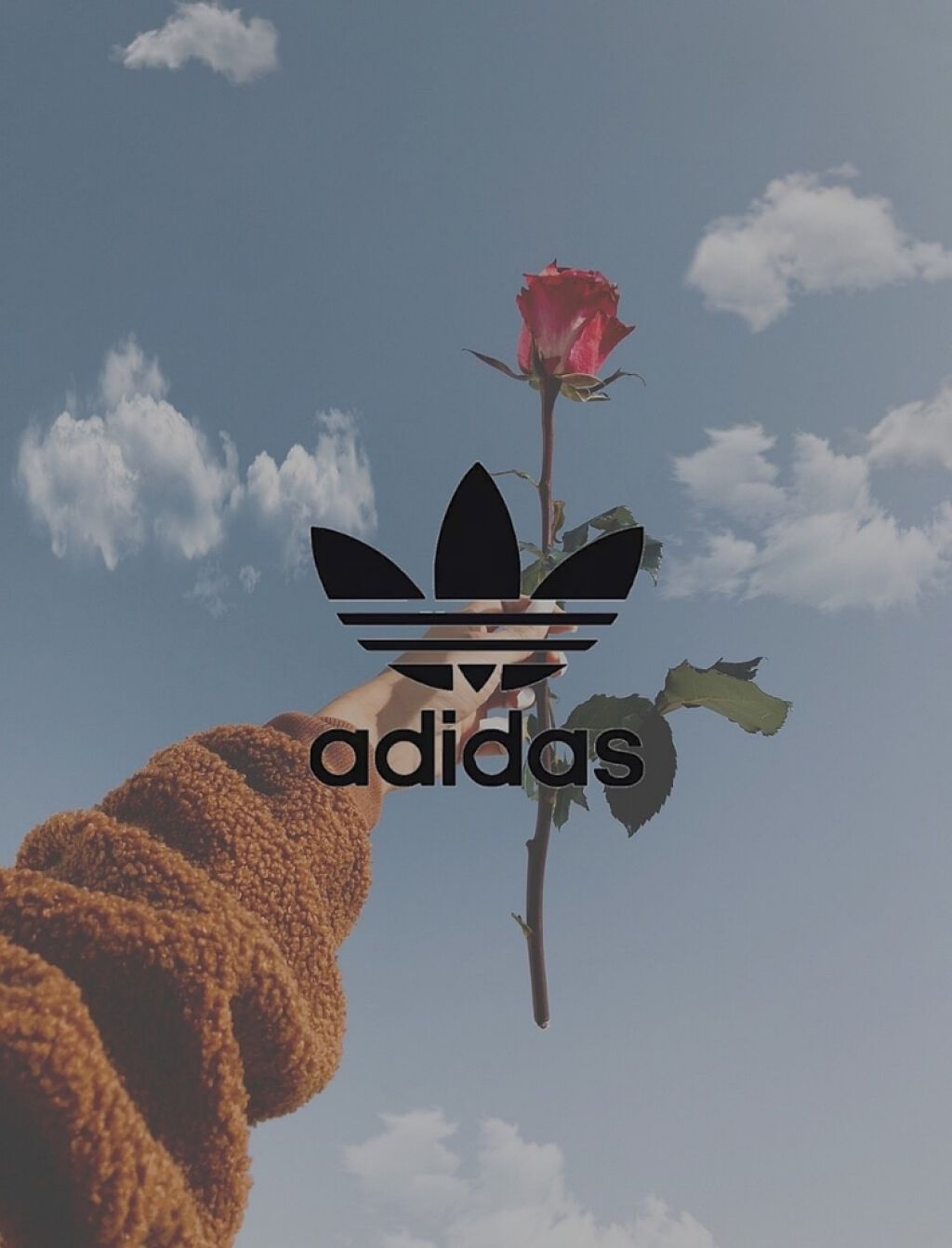 UR GLAM　BLOOMING EYE COLOR PALETTE/U R GLAM/アイシャドウパレットを使ったクチコミ（1枚目）