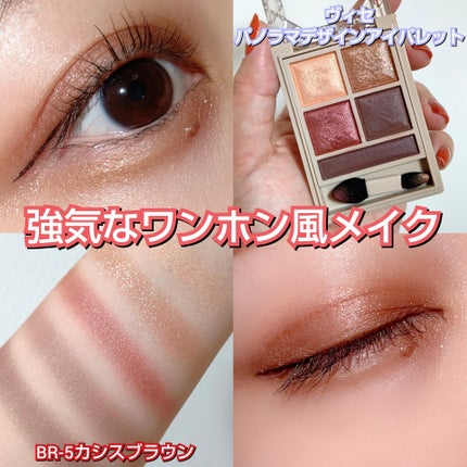 パノラマデザイン アイパレット BR-5 カシスブラウン/Visée/アイシャドウパレットを使ったクチコミ(1枚目)