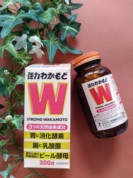 強力わかもと/わかもと製薬/健康サプリメントを使ったクチコミ(2枚目)
