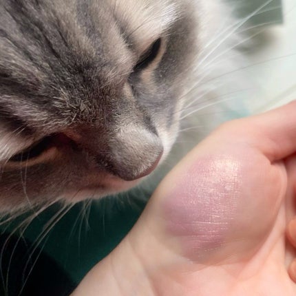 ロングウェア クリーム シャドウ スティック/BOBBI BROWN/スティックアイシャドウを使ったクチコミ(3枚目)