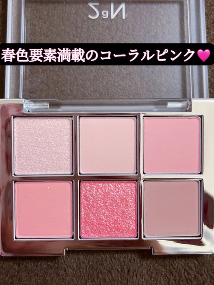 ベターミーアイパレット/2aN/マルチパレットを使ったクチコミ(2枚目)