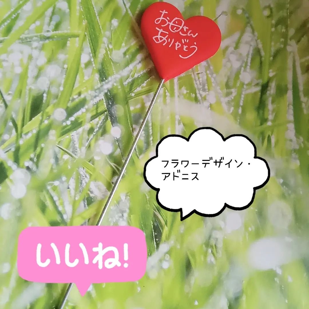 ハートピック/アドニス/その他を使ったクチコミ（1枚目）