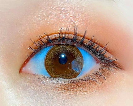 シャドーカスタマイズ/MAJOLICA MAJORCA/単色アイシャドウを使ったクチコミ(3枚目)