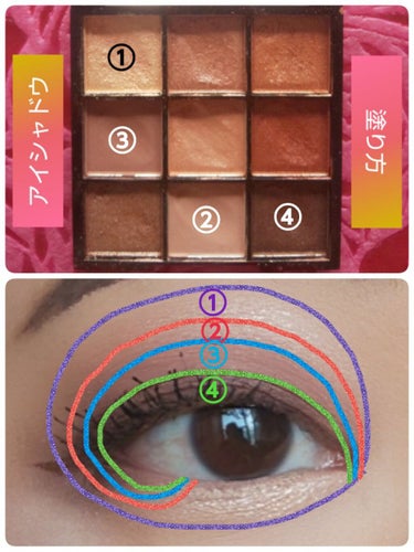 UR GLAM　BLOOMING EYE COLOR PALETTE/U R GLAM/パウダーアイシャドウを使ったクチコミ（5枚目）