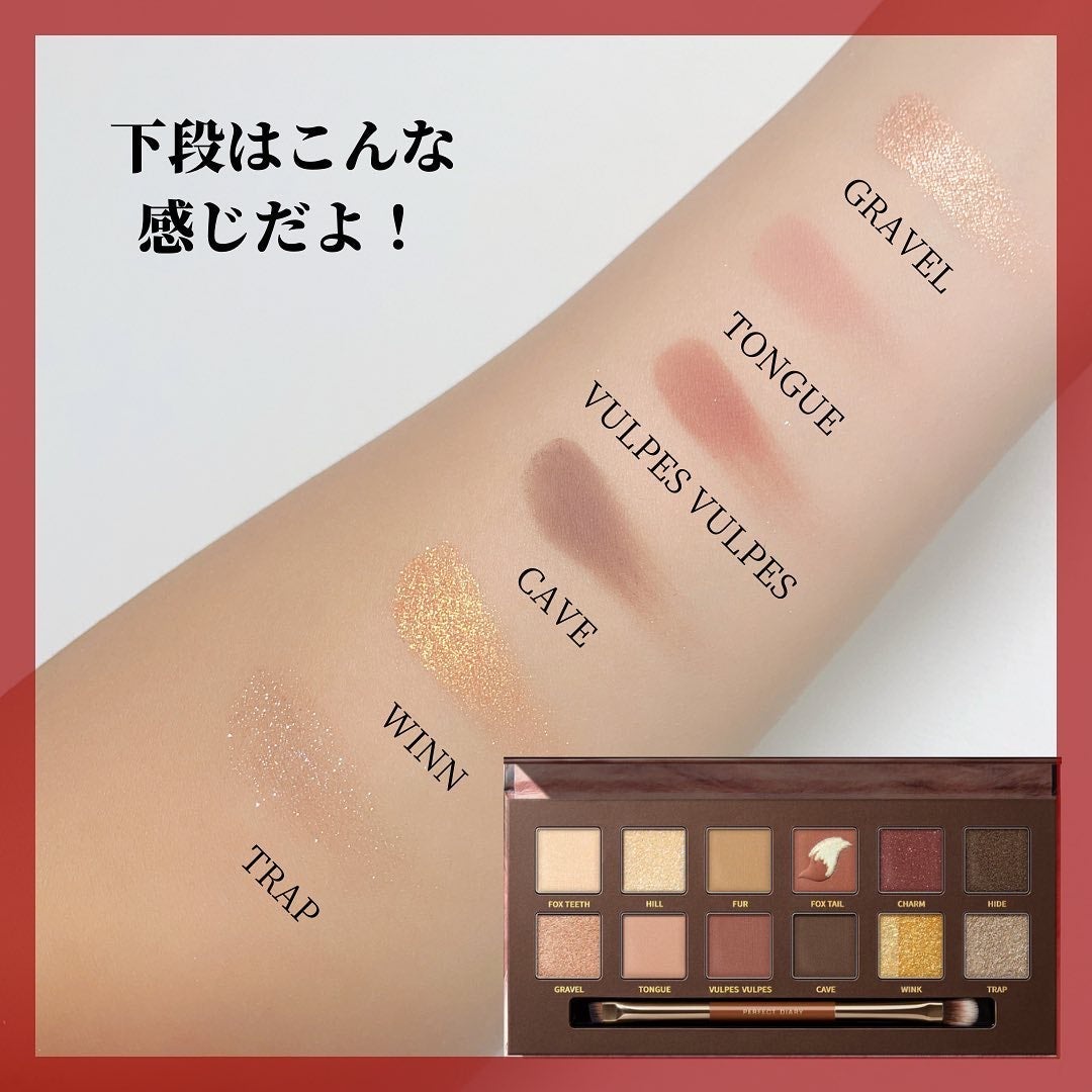 エクスプローラ12色 動物アイシャドウパレット/PERFECT DIARY/アイシャドウパレットを使ったクチコミ(4枚目)