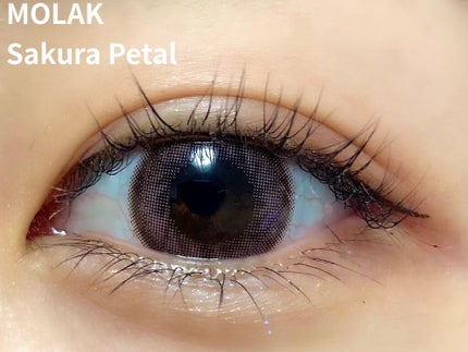 MOLAK 1month/MOLAK/1ヶ月(1MONTH)カラコンを使ったクチコミ(1枚目)