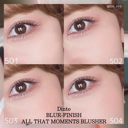 ブラーフィニシュブラッシャー/Dinto/パウダーチークを使ったクチコミ(4枚目)