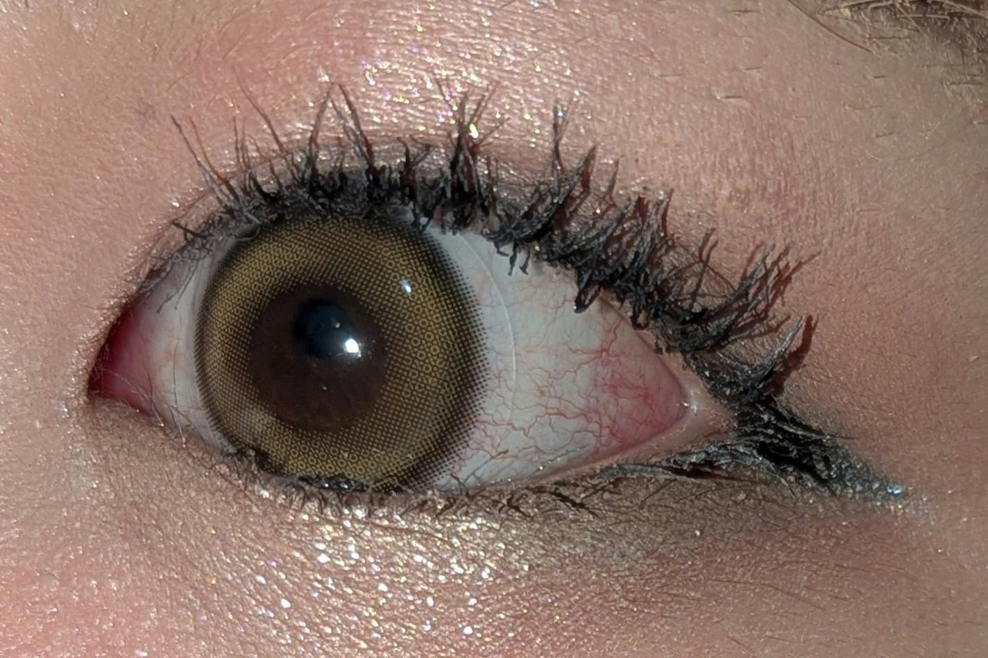 MOLAK 1day/MOLAK/ワンデー(1DAY)カラコンを使ったクチコミ(8枚目)