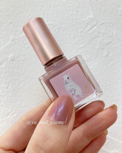 ネイルエス/ nail S(ネイルエス) /マニキュアを使ったクチコミ(1枚目)