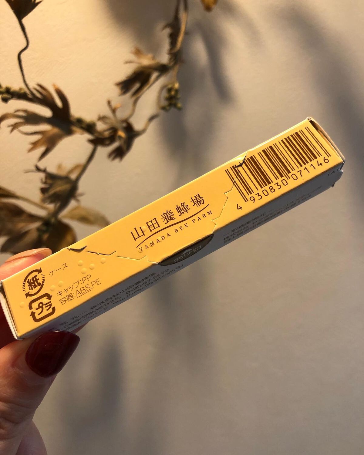 RJビーリップ/アピセラピーコスメティクス/リップクリームを使ったクチコミ(3枚目)