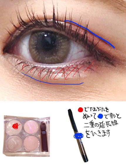 クイックラッシュカーラー/キャンメイク/マスカラ下地を使ったクチコミ(4枚目)