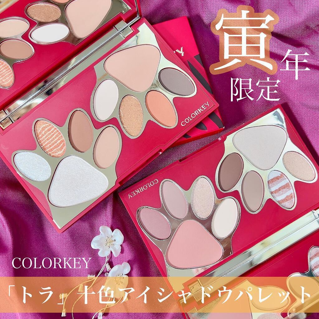 トラ十色アイシャドウパレット/COLORKEY/アイシャドウパレットを使ったクチコミ（1枚目）