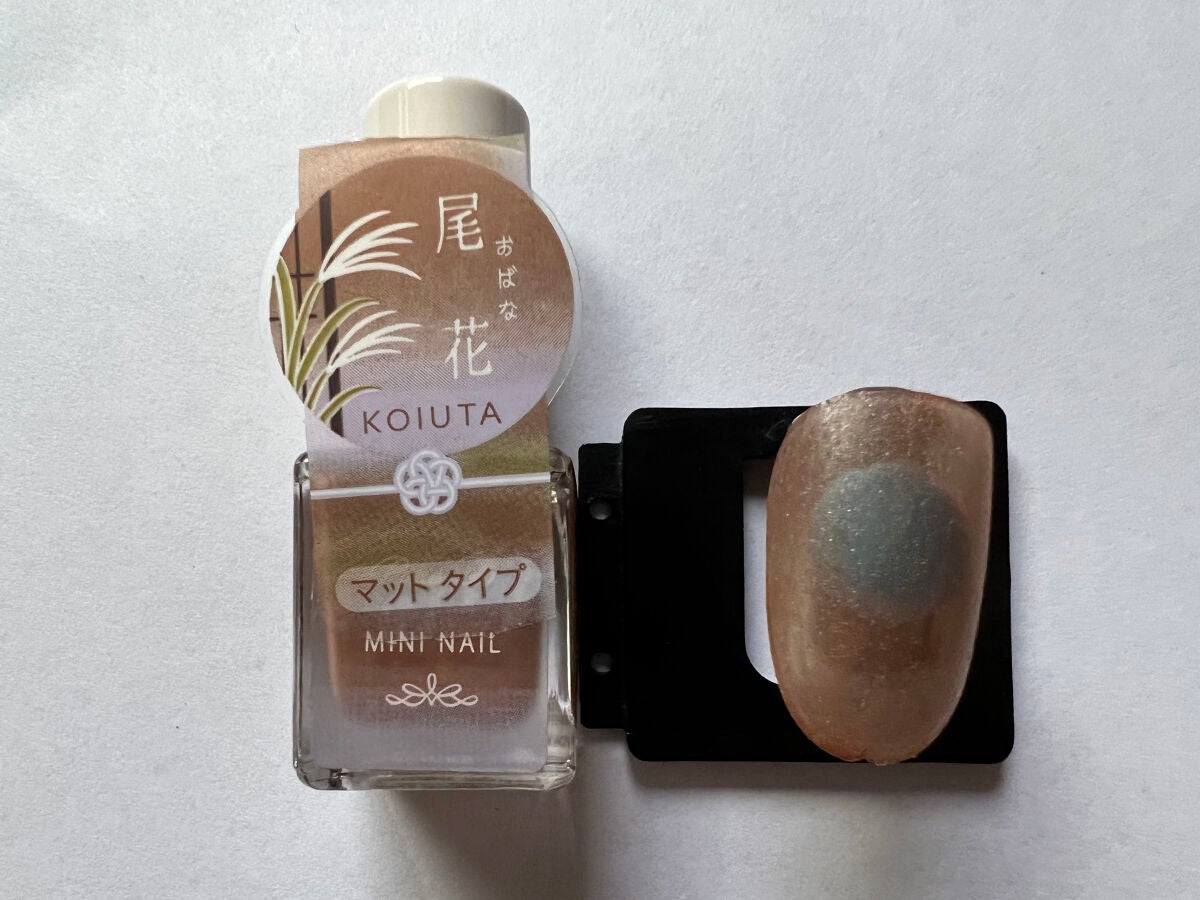 ミニネイル/パラドゥ/マニキュアを使ったクチコミ(2枚目)