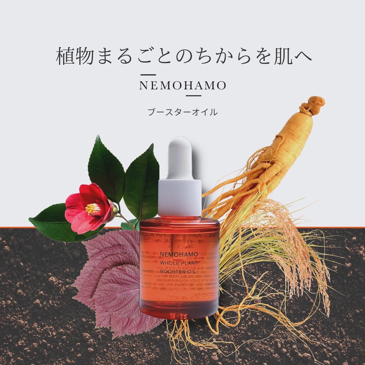 ブースターオイル/NEMOHAMO/フェイスオイルを使ったクチコミ（1枚目）