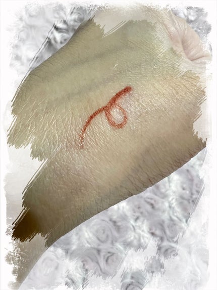 リップ ペンシル/M・A・C/リップライナーを使ったクチコミ(2枚目)