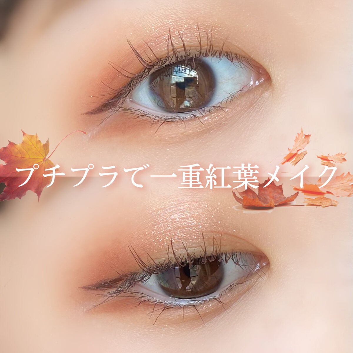 パーフェクトマルチアイズ/キャンメイク/アイシャドウパレットを使ったクチコミ(1枚目)