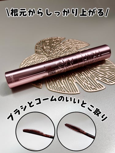 ✔ MAYBELLINE NEW YORK   スカイハイ
      ❁⃘ 02 たそがれブラウン


プレゼント企画で頂いたブラックと、たそがれブラウン。
ブラックは引用を見てください😊


02た