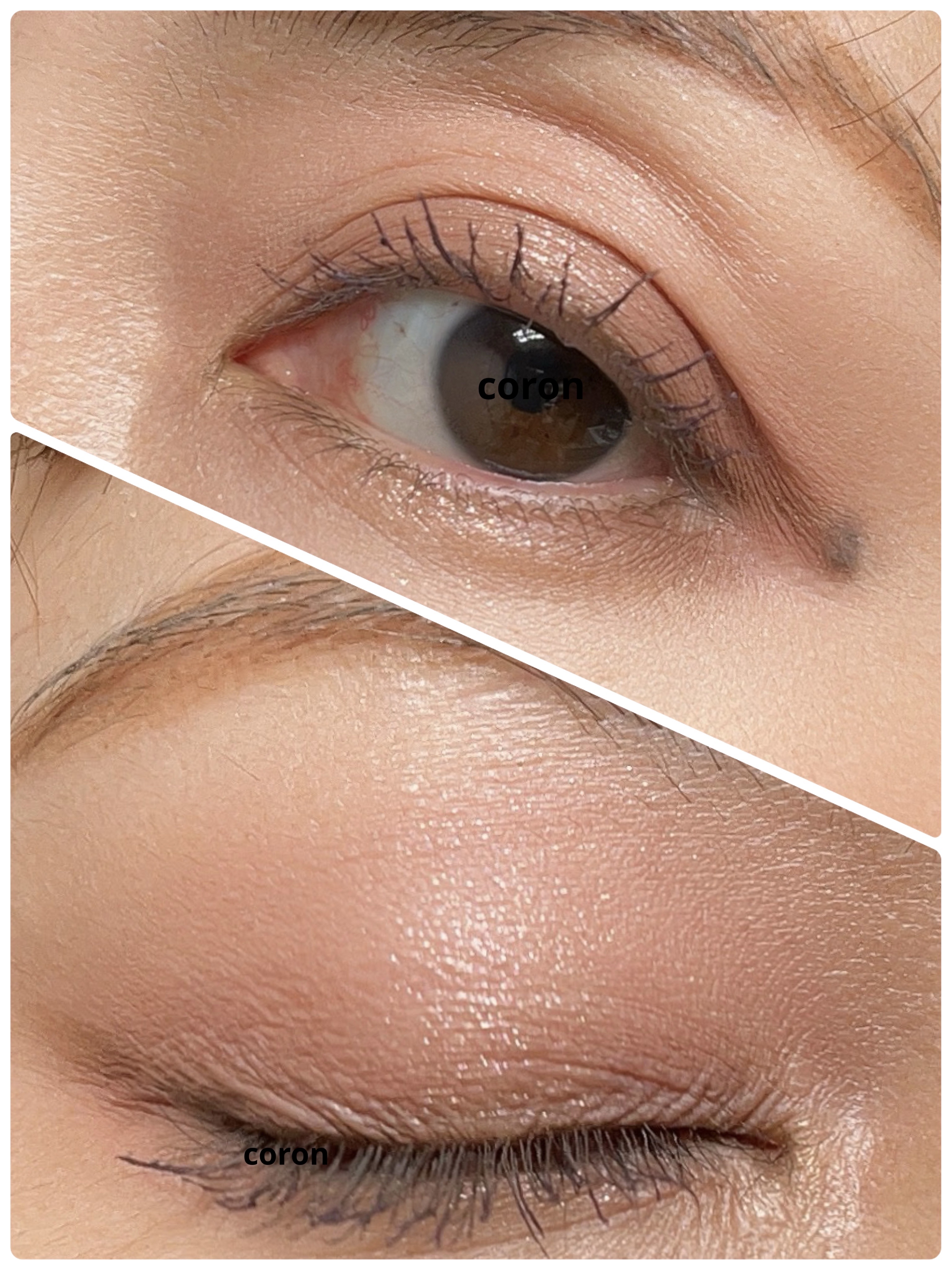 シェード アンド シャドウ パレット 02 SOFT DEPTH/CLIO/アイシャドウパレットを使ったクチコミ（2枚目）