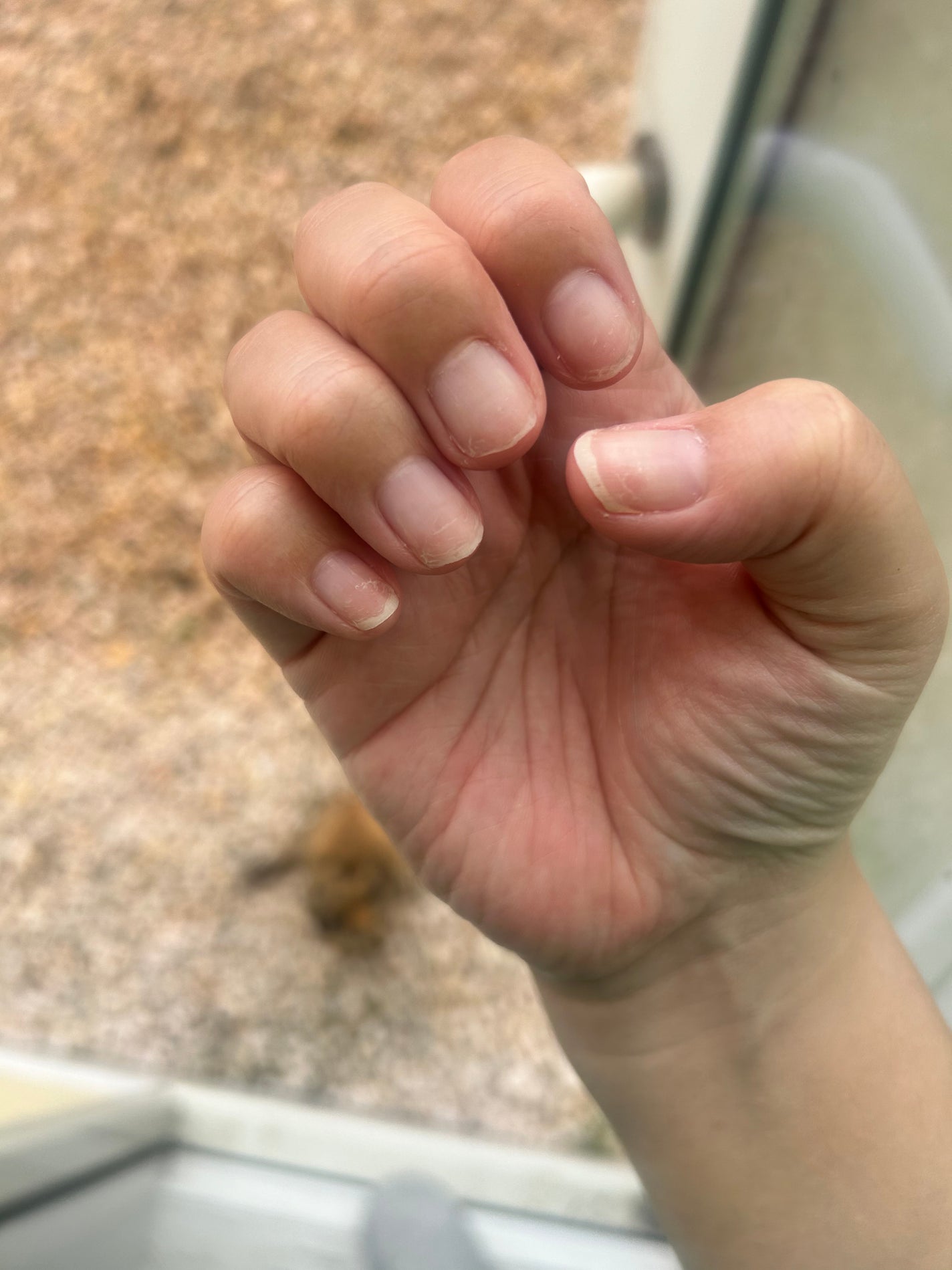 ちよこ on LIPS 「爪育記録💅思ったより傷んでないらしく、GW中にネイルしても良さ..」(1枚目)