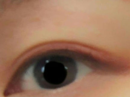 アニマルアイシャドウ(4シェード)/ZEESEA/アイシャドウパレットを使ったクチコミ(6枚目)