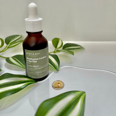 Houttuynia Cordata + Tea Tree Serum/MARY&MAY/洗顔フォームを使ったクチコミ（3枚目）