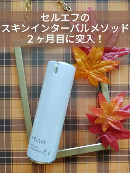 セルエフ インテンシブ コンセントレートEXのクチコミ「セルエフのスキンインターバルメソッド、2ヶ月目に突入しております。
1ヶ月目は導入化粧水のデ.....」(1枚目)
