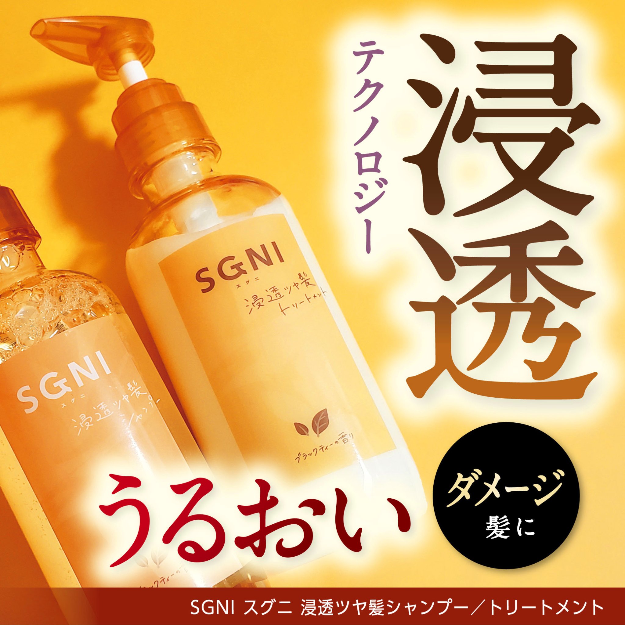 スグニ 浸透ツヤ髪 シャンプー/トリートメント/SGNI/市販シャンプーを使ったクチコミ（1枚目）