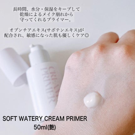 ウルトラ フィックスオン アイ プライマー/saat insight/アイシャドウベースを使ったクチコミ(2枚目)