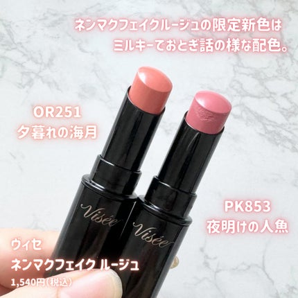 ネンマクフェイク ルージュ/Visée/口紅を使ったクチコミ(2枚目)