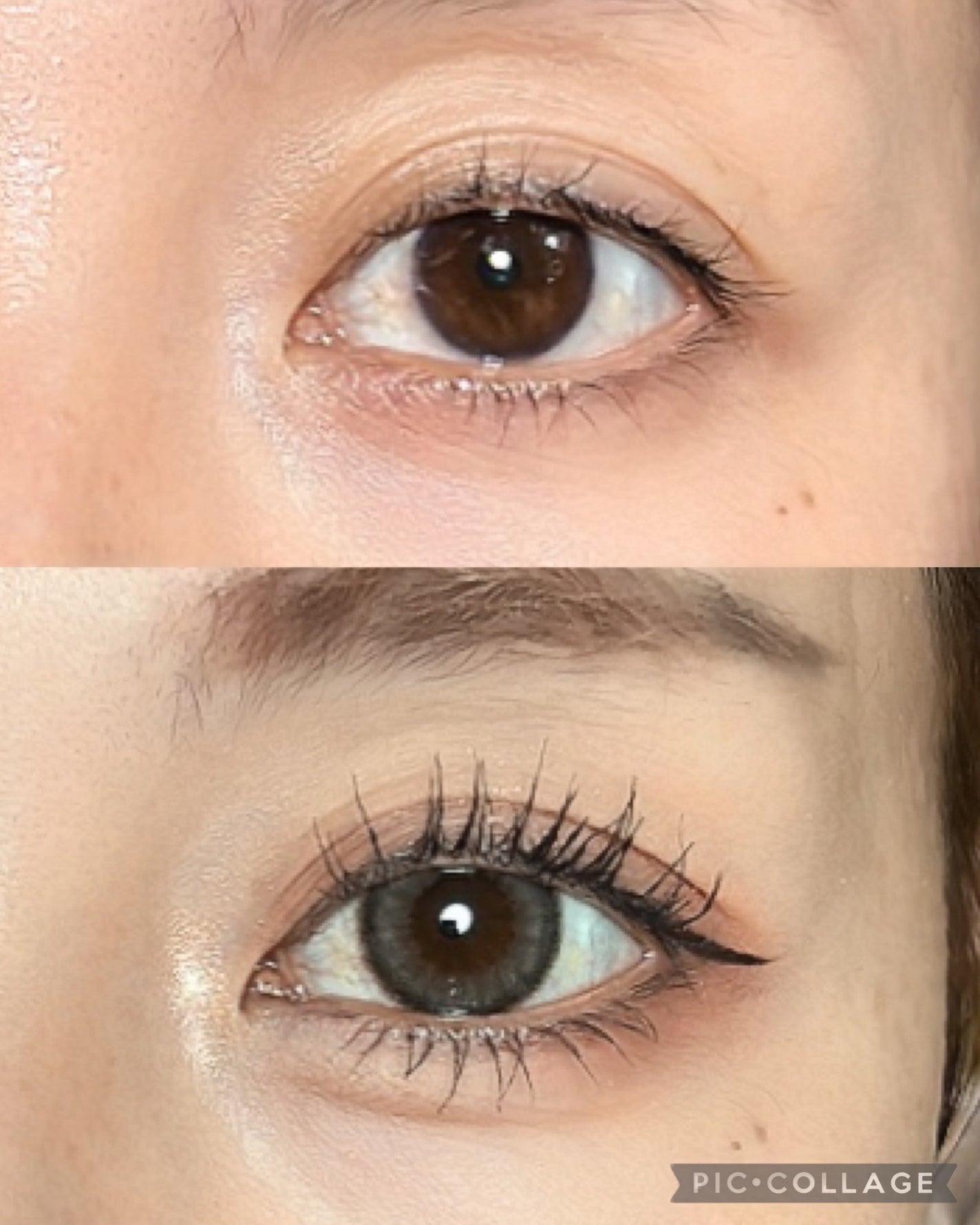 プロ アイ パレット/CLIO/アイシャドウパレットを使ったクチコミ(6枚目)