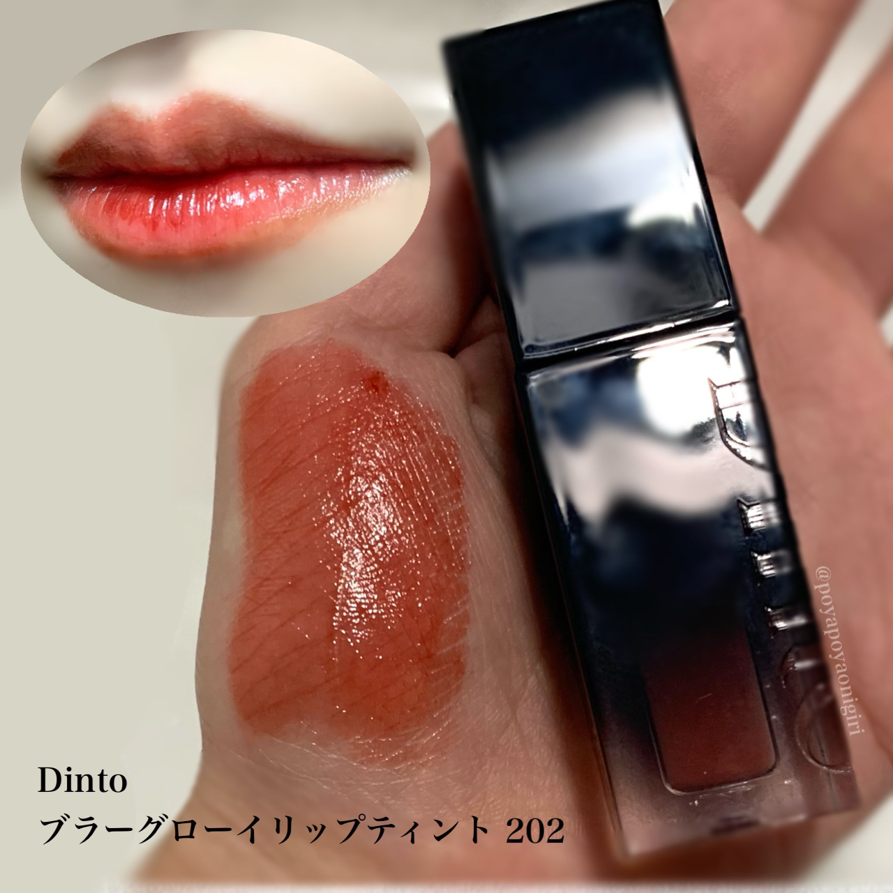 ブラーグロイリップティント 202 ソフィア/Dinto/リップティントを使ったクチコミ（1枚目）