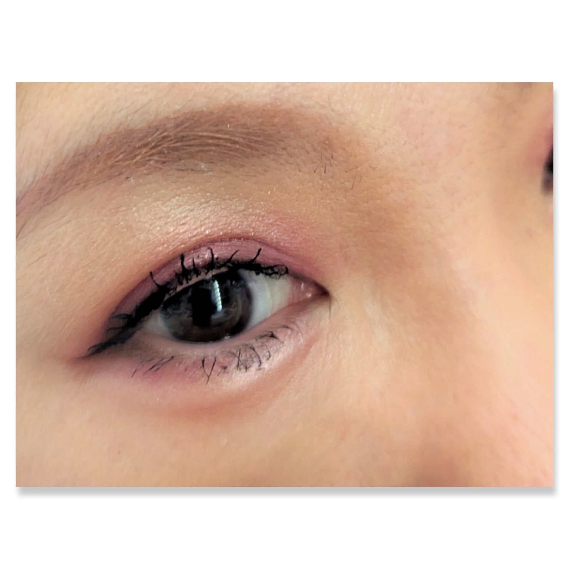 ショコラスウィート アイズ/リンメル ロンドン/アイシャドウパレットを使ったクチコミ（2枚目）