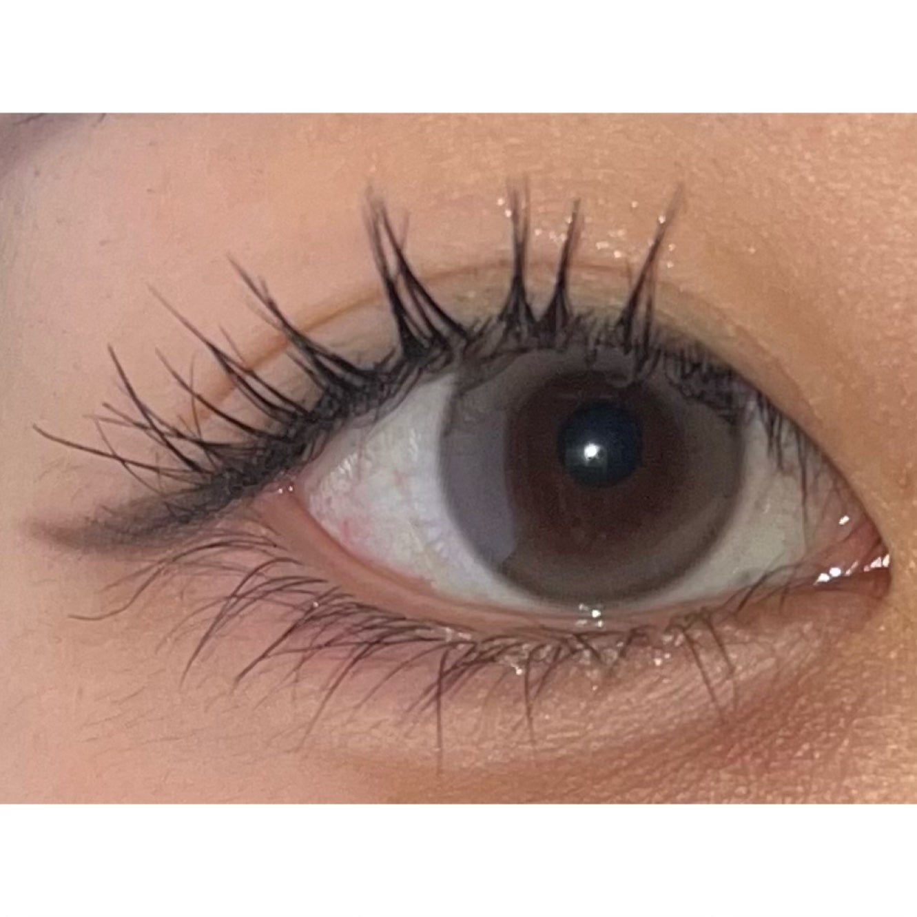 Suger High Kristin/Hapa kristin/カラーコンタクトレンズを使ったクチコミ(2枚目)