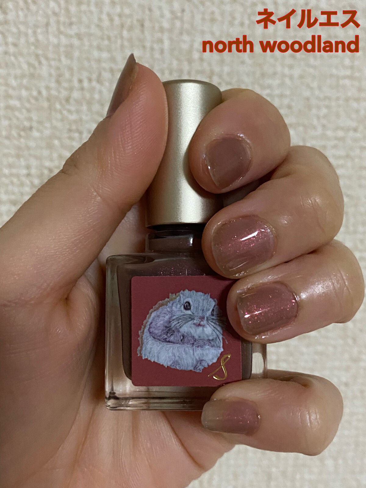 ネイルエス/ nail S(ネイルエス) /マニキュアを使ったクチコミ(1枚目)