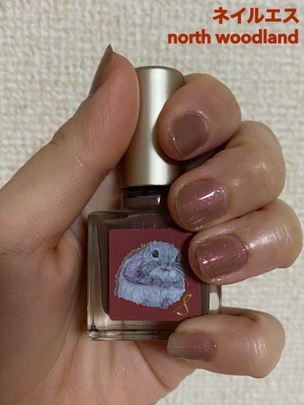 ネイルエス/ nail S(ネイルエス) /マニキュアを使ったクチコミ(1枚目)