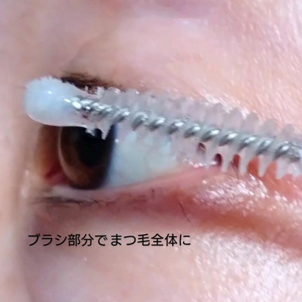 アイラッシュセラム/Bio Lucia(ビオルチア)/まつげ美容液を使ったクチコミ(5枚目)