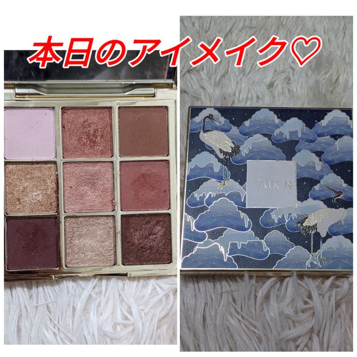 長相思シリーズ 9色アイシャドウパレット/CATKIN/アイシャドウパレットを使ったクチコミ(1枚目)