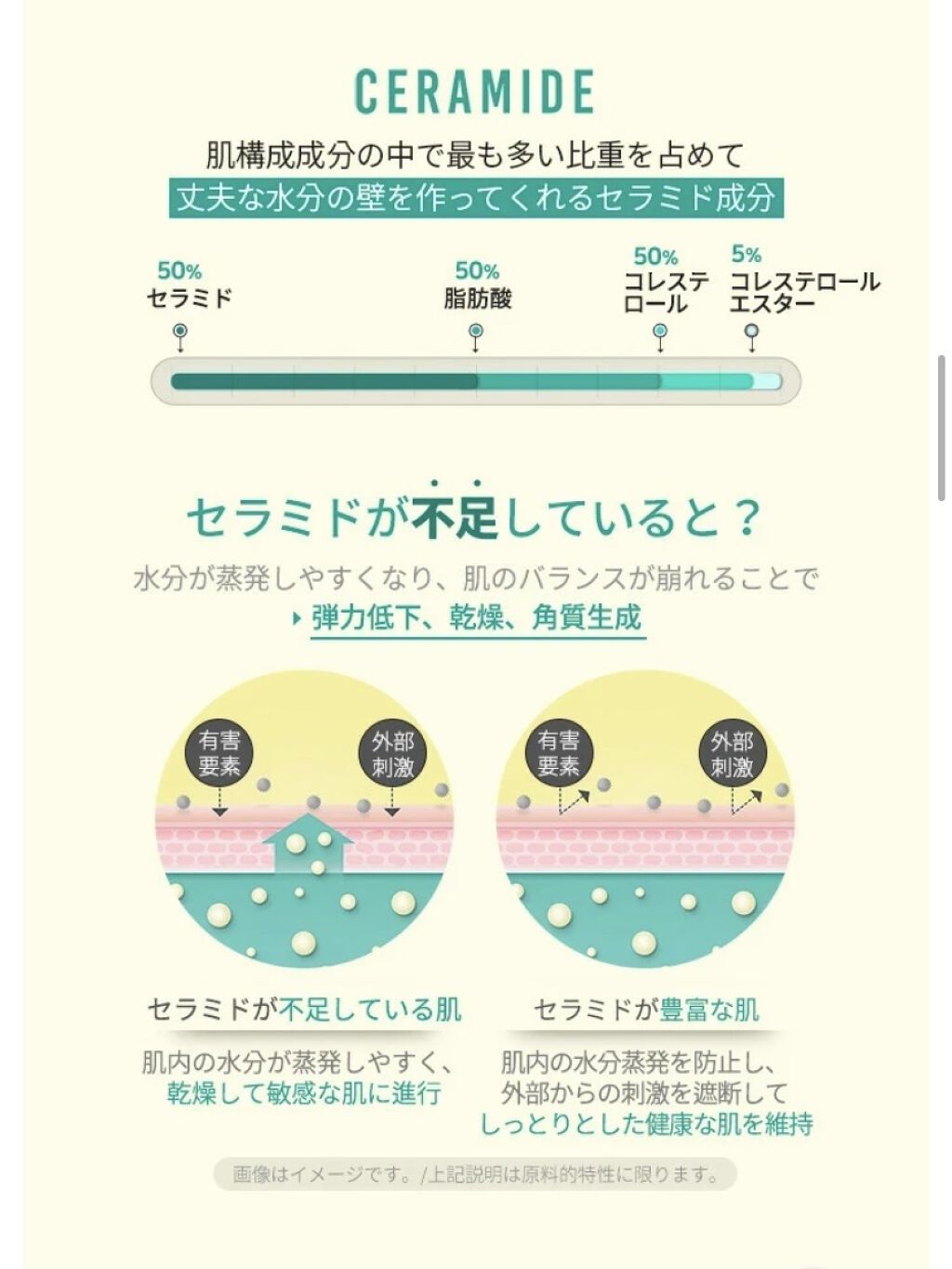 スーパーセラミド100 ライトカプセルセラム/NEOGEN/美容液を使ったクチコミ（3枚目）