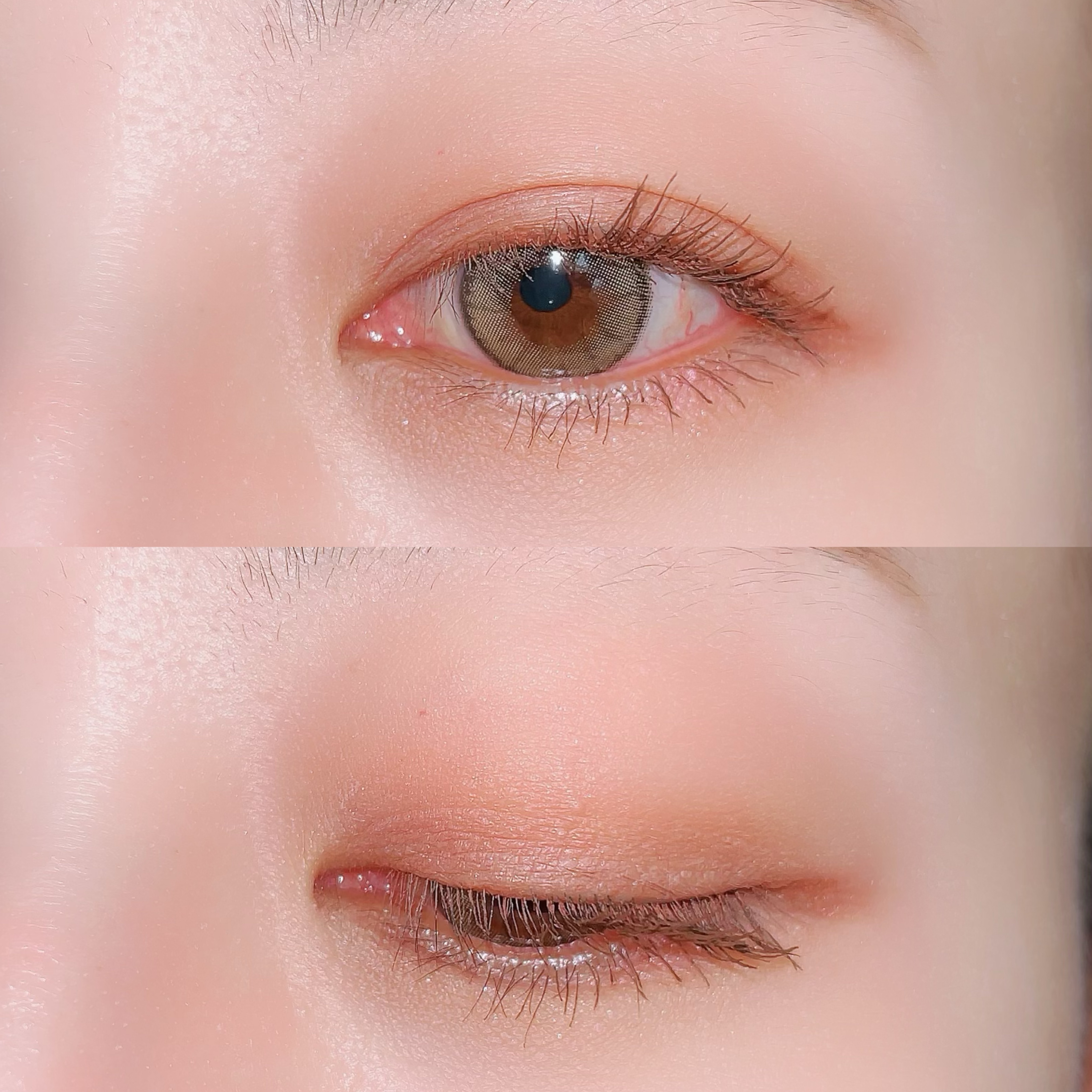 エテュセ アイエディション(カラーパレット) 08 カシスシナモン/ettusais/アイシャドウパレットを使ったクチコミ（3枚目）